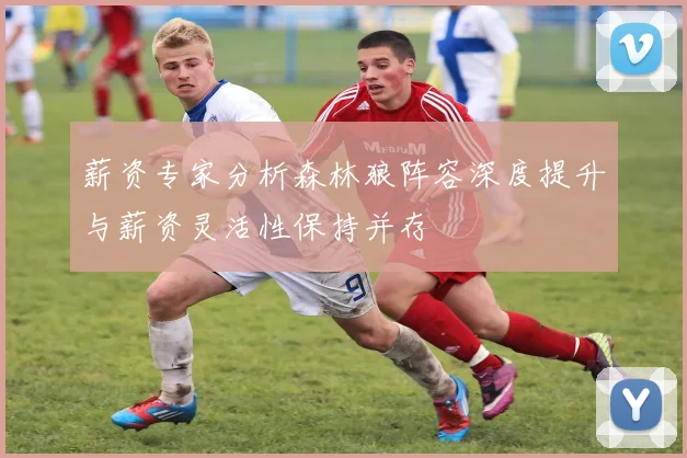 薪资专家分析森林狼阵容深度提升与薪资灵活性保持并存