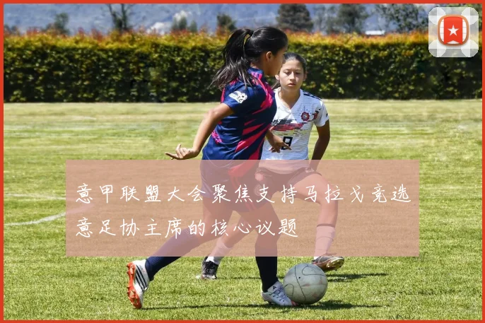意甲联盟大会聚焦支持马拉戈竞选意足协主席的核心议题
