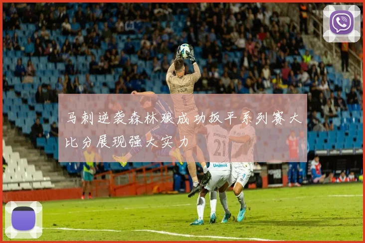马刺逆袭森林狼成功扳平系列赛大比分展现强大实力